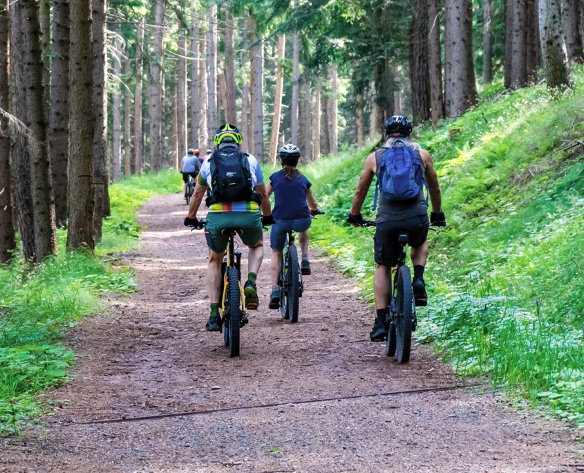 Eine Gruppe Radfahrer fährt durch den Wald