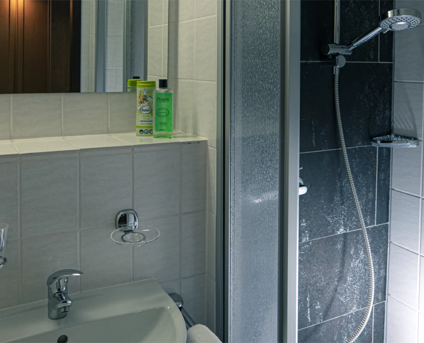 Ein-Raum-Suite Silberblick 120 – Badezimmer