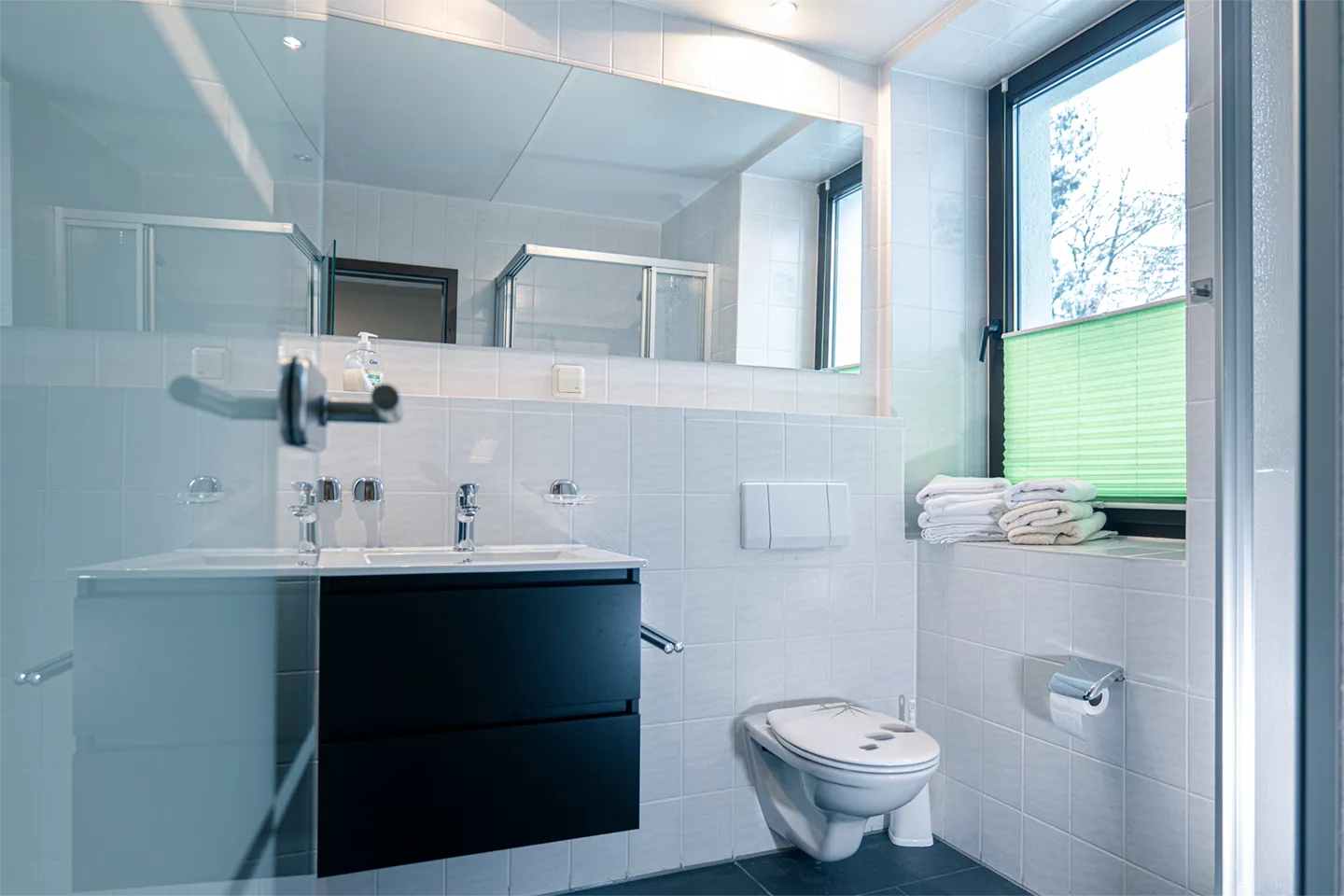 Familien-Suite Goldisthal 127 – Waschbecken und WC