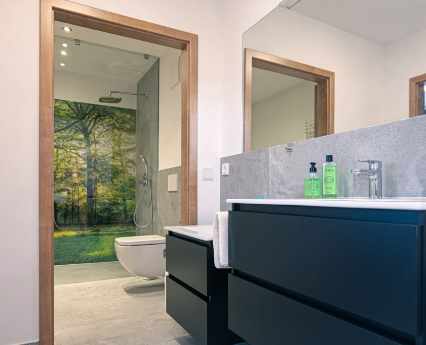 Familien-Suite Schneekopf 14 & 114 – Waschbecken, Toilette und Dusche