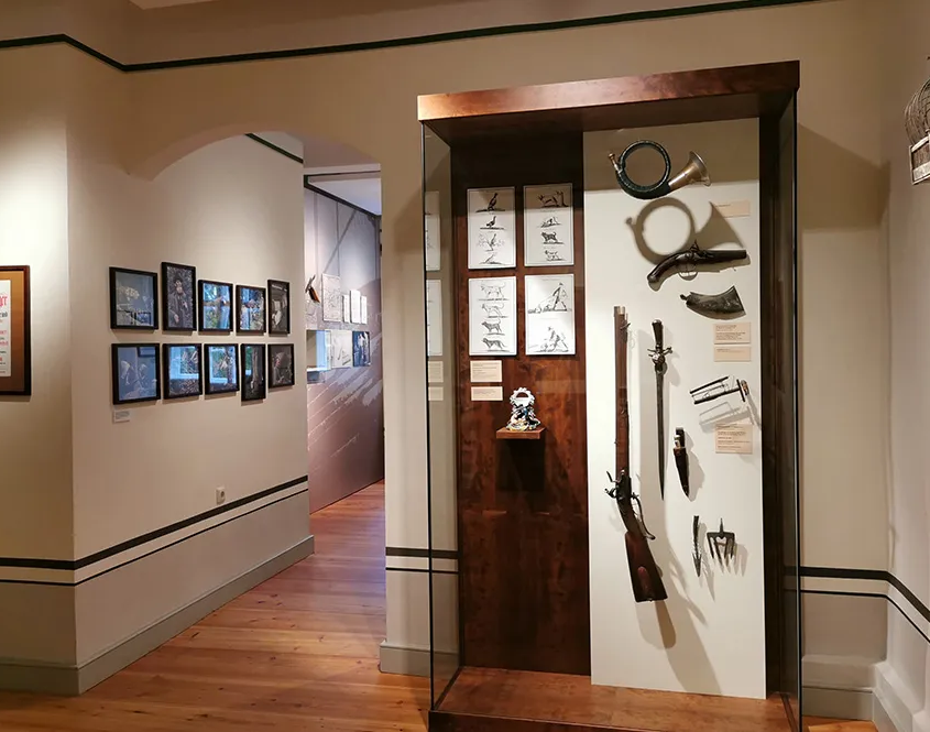 Museum Jagdhaus Gabelbach - Innenansicht mit Waffen in Vitrine