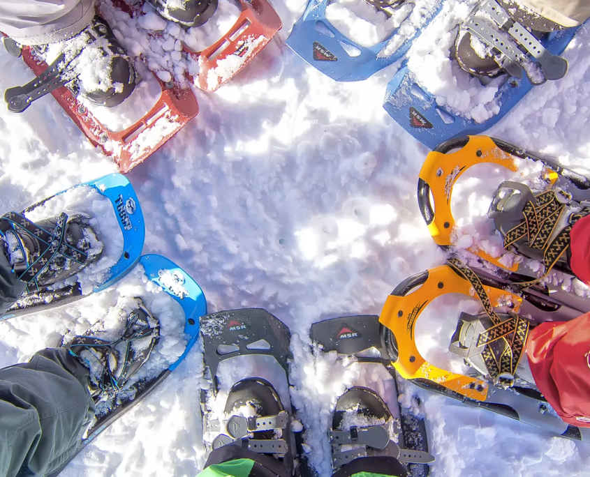 Fünf paar Schneeschuhe im Kreis angeordnet
