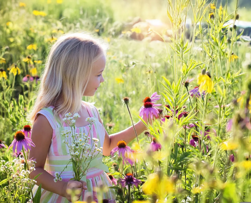Mädchen betrachtet eine Blume auf einer Sommerwiese